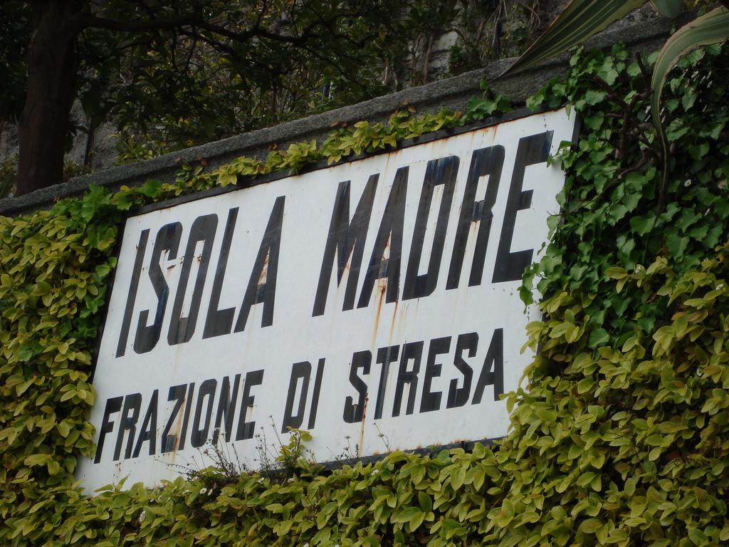 Gli Oleandri