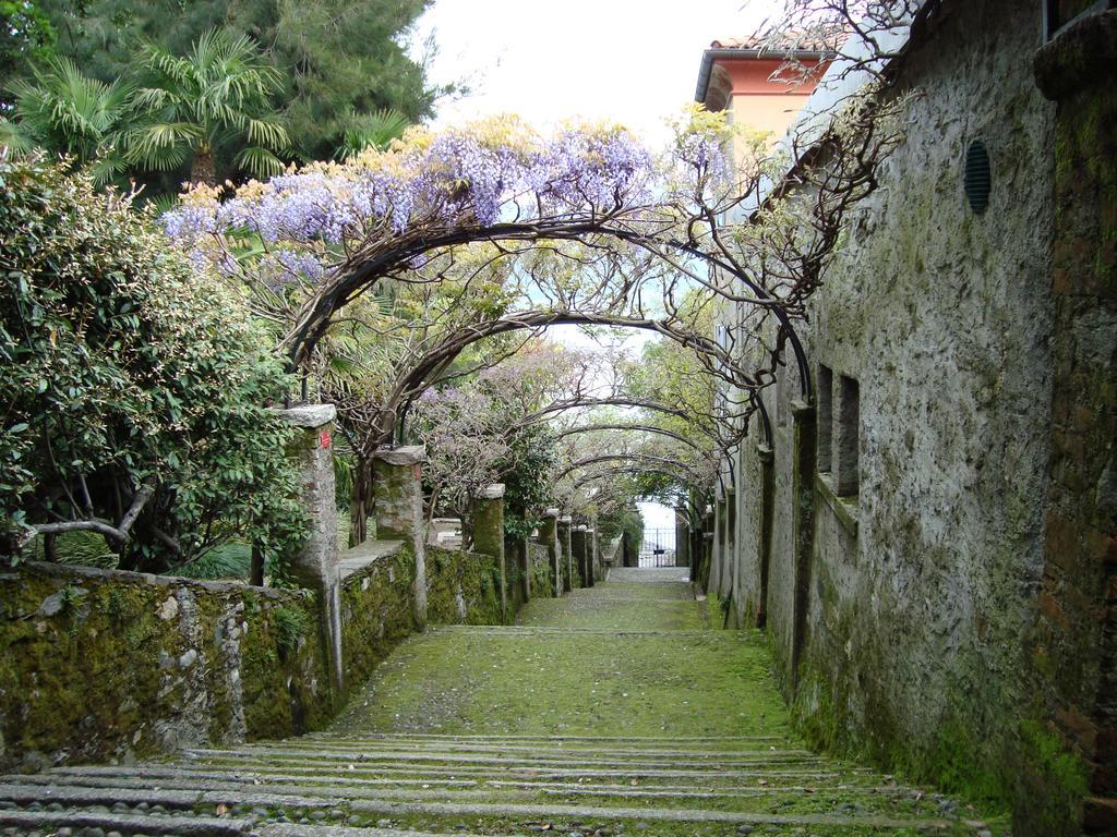 Gli Oleandri Bed & Breakfast *