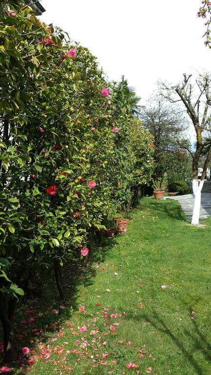 Bed & Breakfast Gli Oleandri